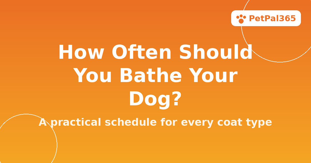 How Often Should You Bathe Your Dog? A Practical Schedule by Coat Type