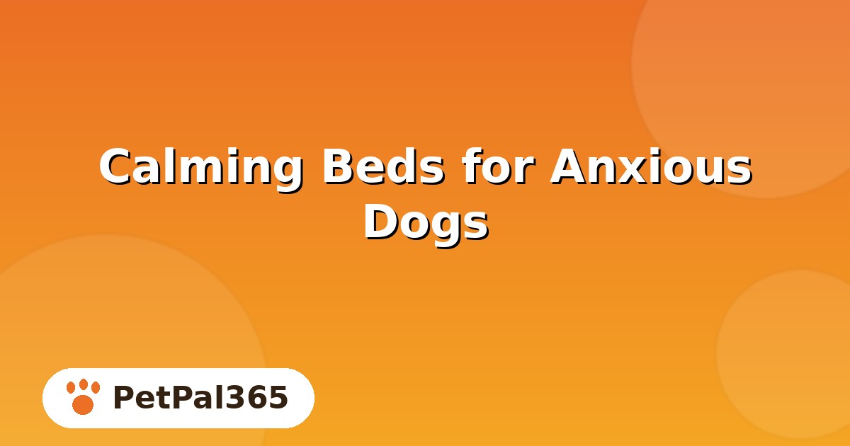 Calming Beds for Anxious Dogs: Do They Really Work?