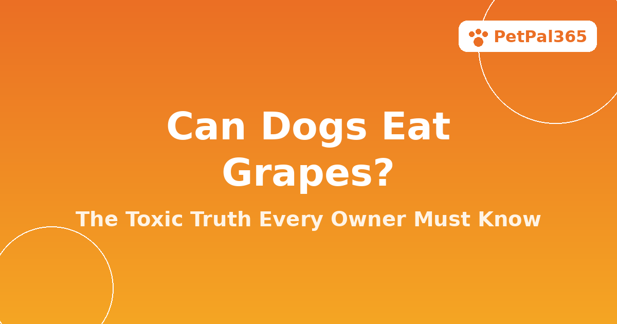 Can Dogs Eat Grapes? The Toxic Truth Every Dog Owner Must Know