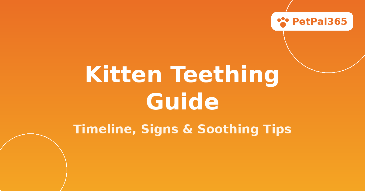 Kitten Teething Guide: Timeline, Signs, and Soothing Tips for New Cat Parents