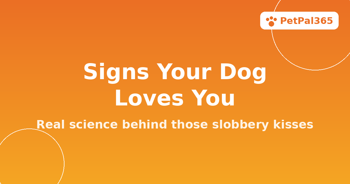 12 Real Signs Your Dog Loves You (Backed by Science)