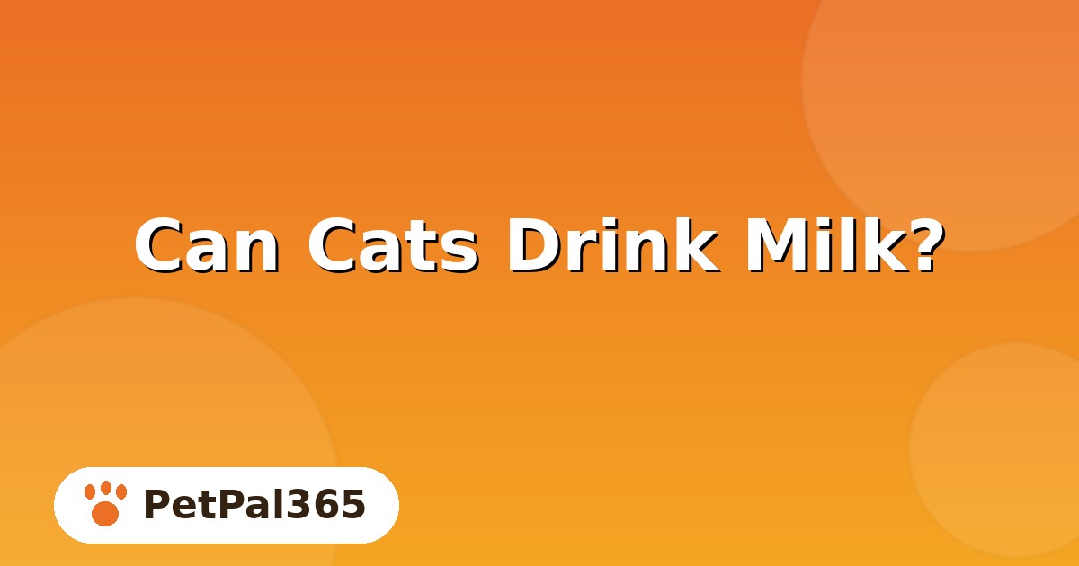 Can Cats Drink Milk? The Truth About Cats and Dairy