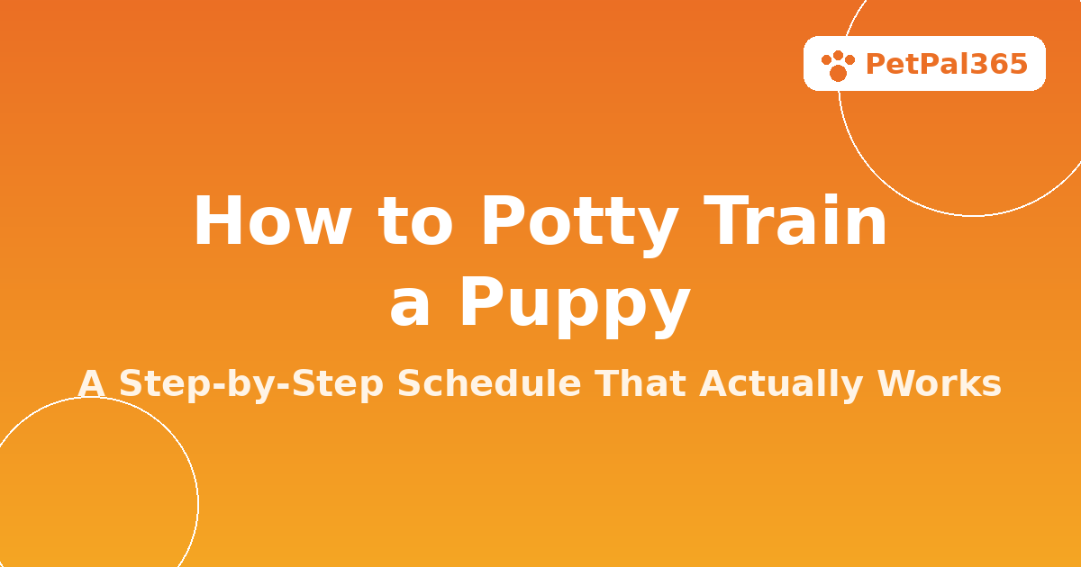 How to Potty Train a Puppy: A Step-by-Step Schedule That Works