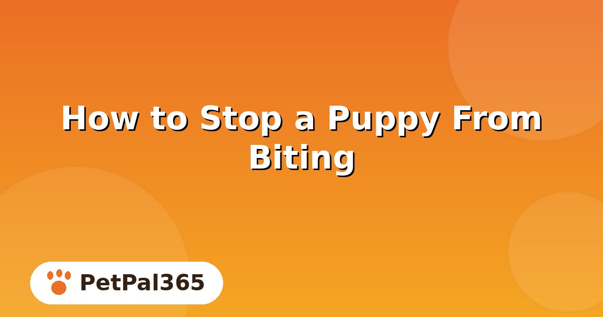 How to Stop a Puppy From Biting: A Practical Guide