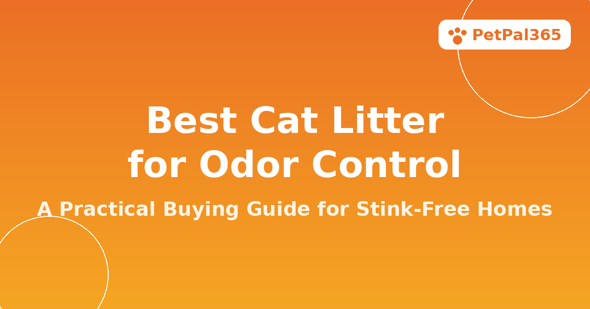 Best Cat Litter for Odor Control: A Practical Buying Guide