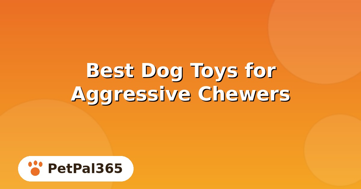 Best Dog Toys for Aggressive Chewers: A Practical Buying Guide