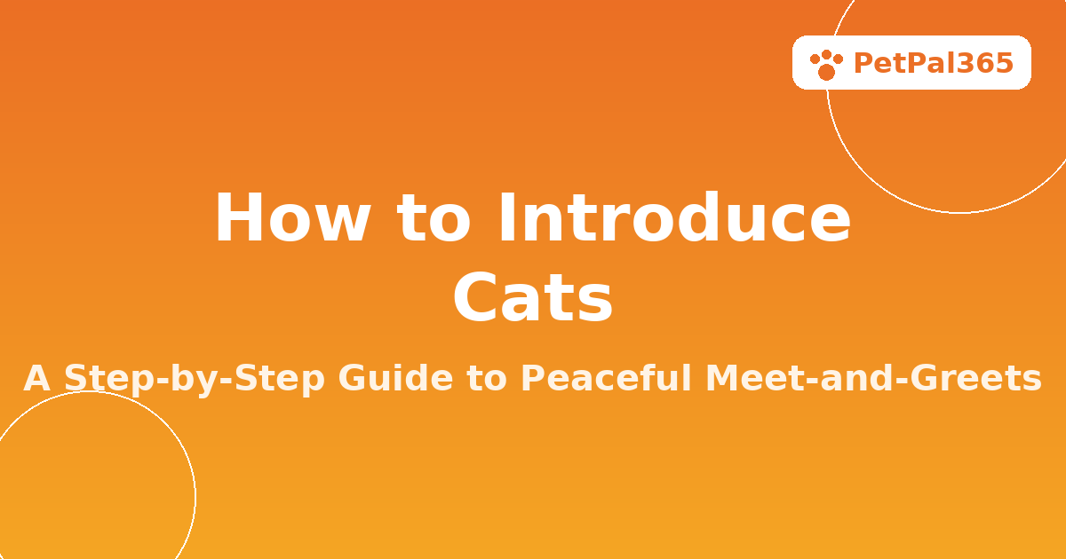 How to Introduce Cats: A Step-by-Step Guide for a Peaceful Home