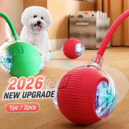 New Dog Interactive Ball Toy