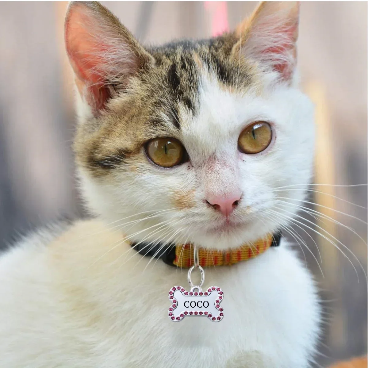 VIP Pets ID Tag Customizable Engraved | PetPal365