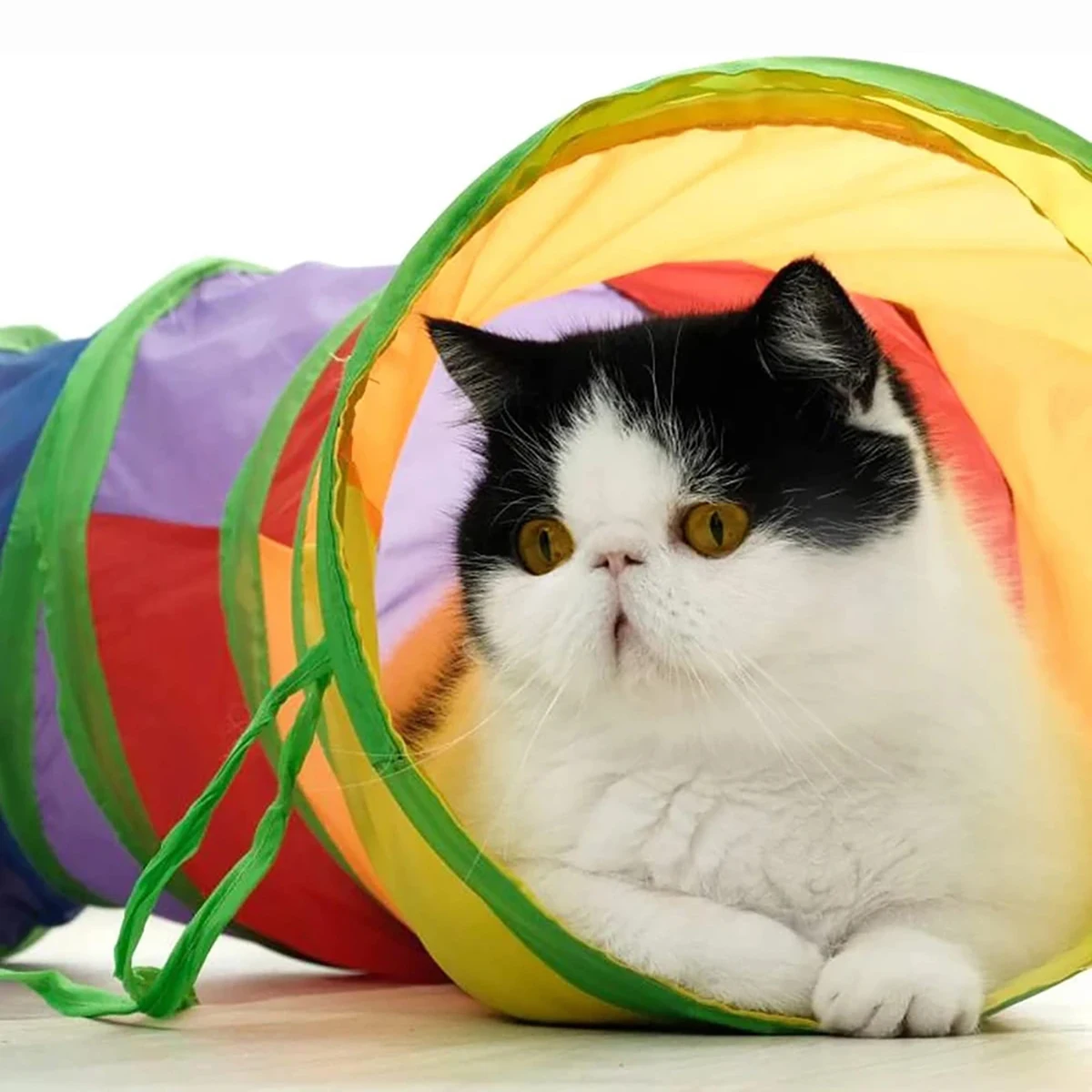 Cat Tunnel Tube Foldable Cat Toys | PetPal365