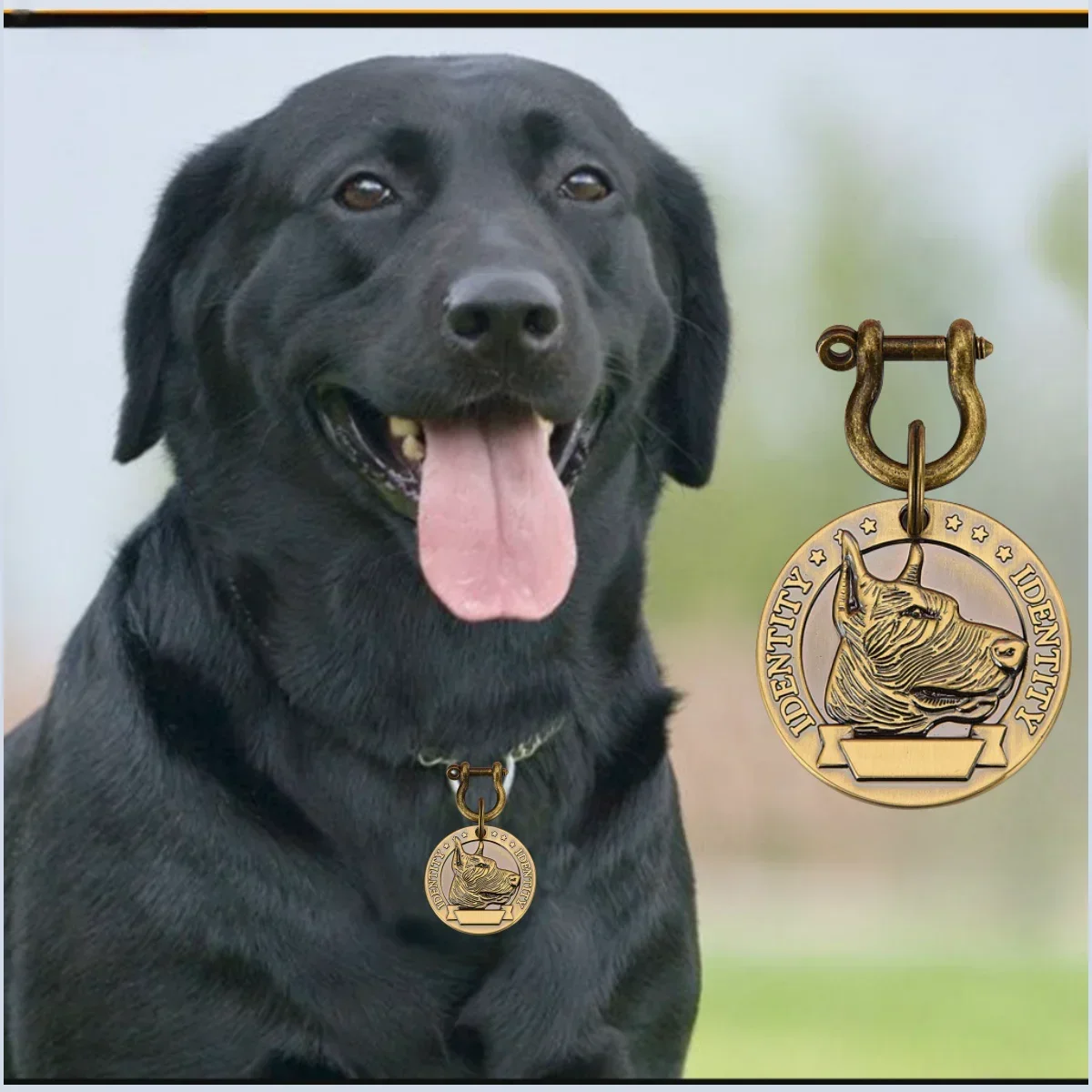 VIP Pets ID Tag Customizable Engraved | PetPal365