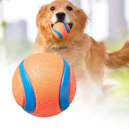 Dog Toy Ball Dog Fetch Ball