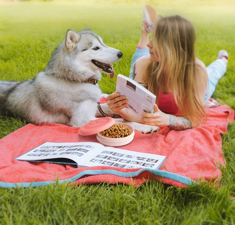 Portable Outdoor Pet Bowl: 2-in-1 Travel - Image 4