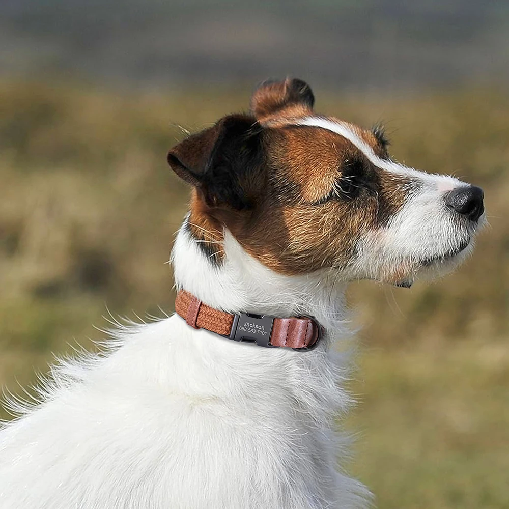 Custom Dog Collar Dog Durable Nylon - Image 5