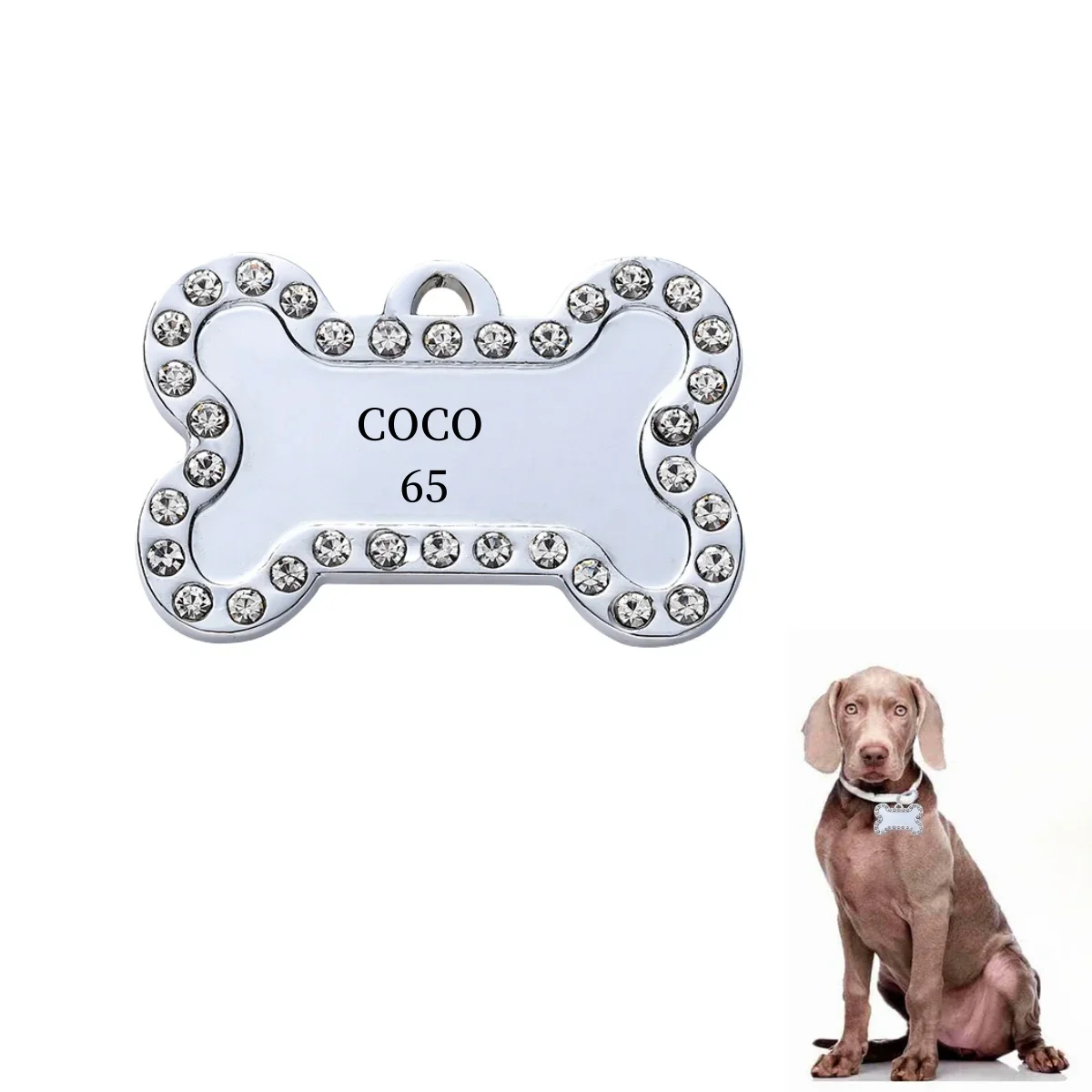 VIP Pets ID Tag Customizable Engraved | PetPal365