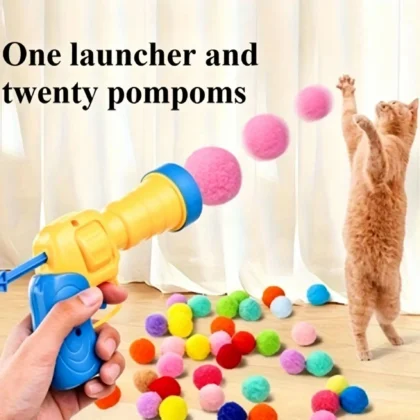 21pcs/set cat playset: includes 1pc transmitter