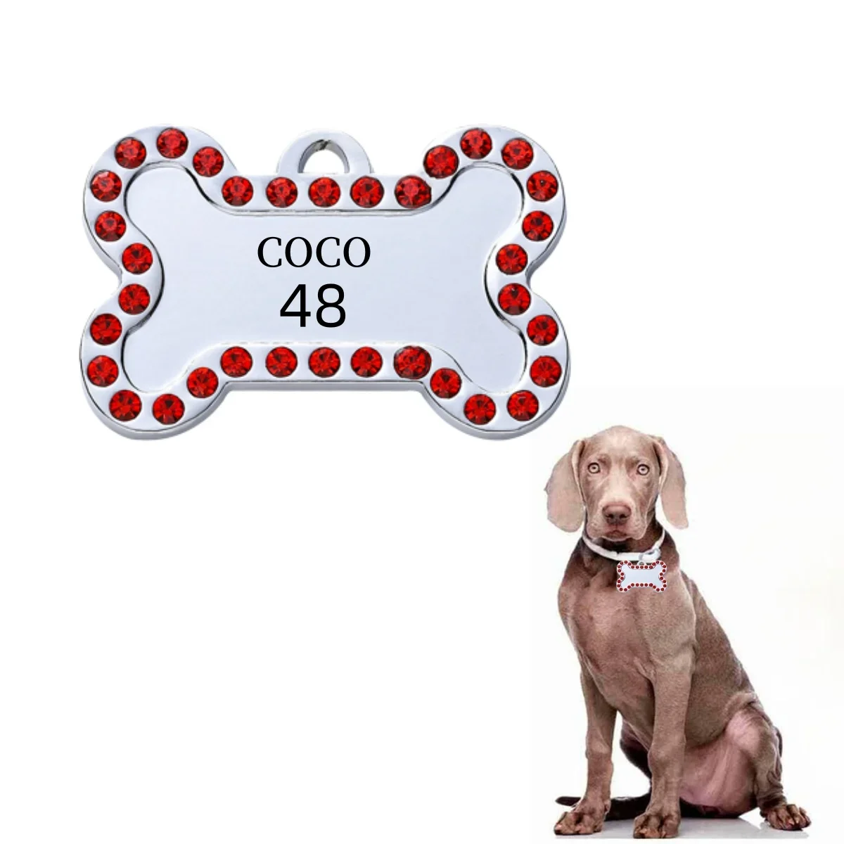 VIP Pets ID Tag Customizable Engraved | PetPal365