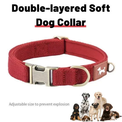 DC001-dog collars and pet neckbands