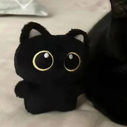 Cute plush toy of a black