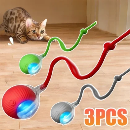 New Cat Interactive Ball Toy Automatic | PetPal365