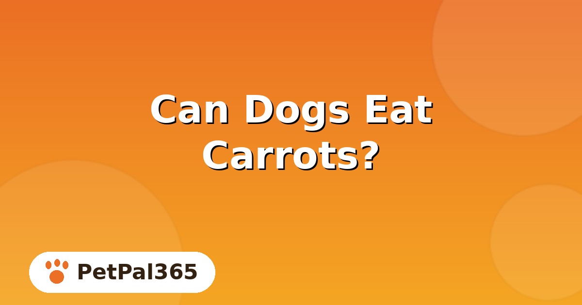 Can Dogs Eat Carrots? Safe Portions, Benefits and Serving Ideas