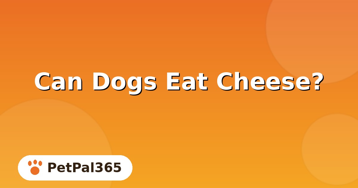 Can Dogs Eat Cheese? Safe Cheeses, Portions & Real Risks