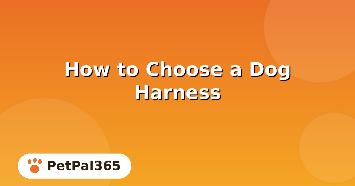How to Choose a Dog Harness: Fit, Clip Styles and What to Avoid