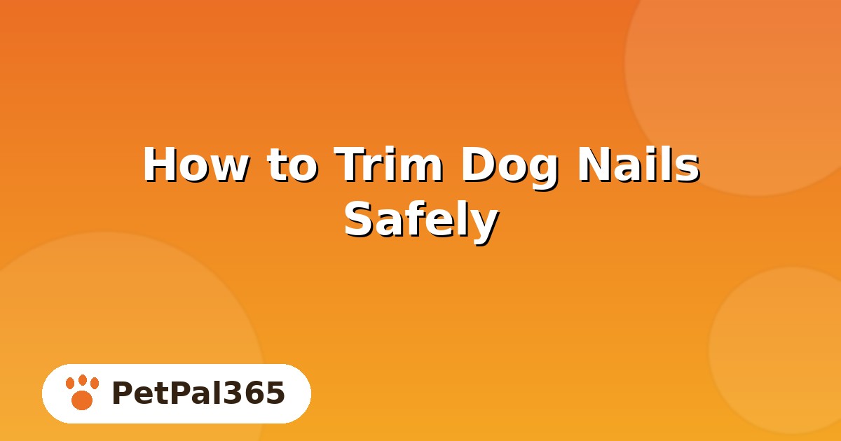 How to Trim Dog Nails Safely: A Step-by-Step Guide for Owners