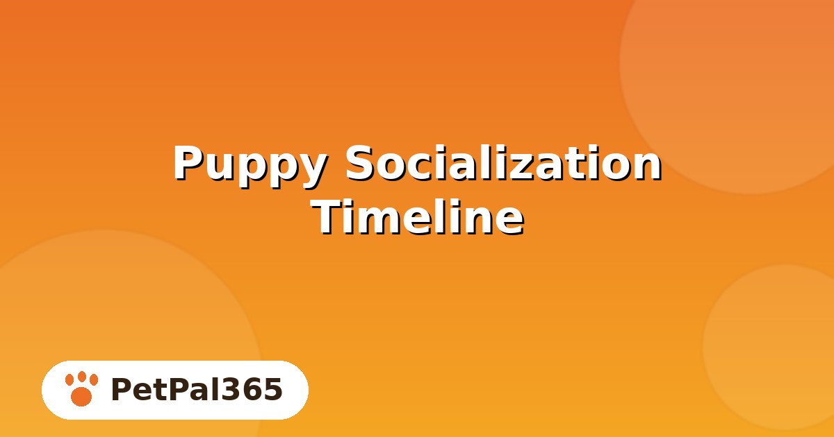 Puppy Socialization Timeline: Week-by-Week Stages and What to Do