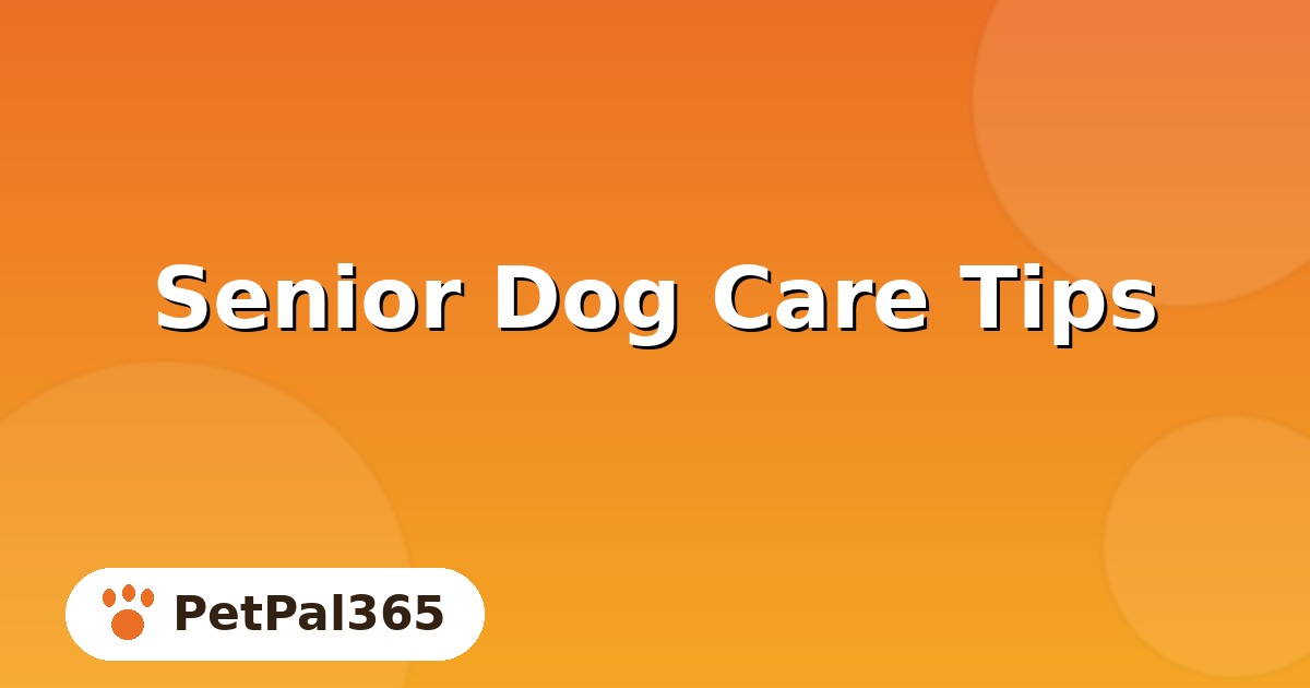 Senior Dog Care Tips: Keeping Your Older Dog Healthy and Happy