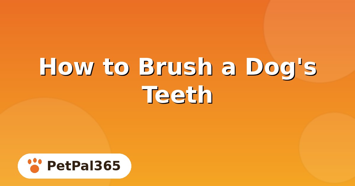How to Brush a Dog’s Teeth: A Step-by-Step Guide for Owners