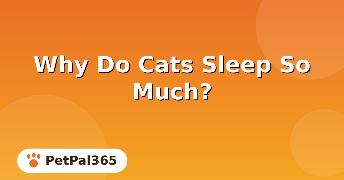 Why Do Cats Sleep So Much? The Science Behind Feline Nap Culture
