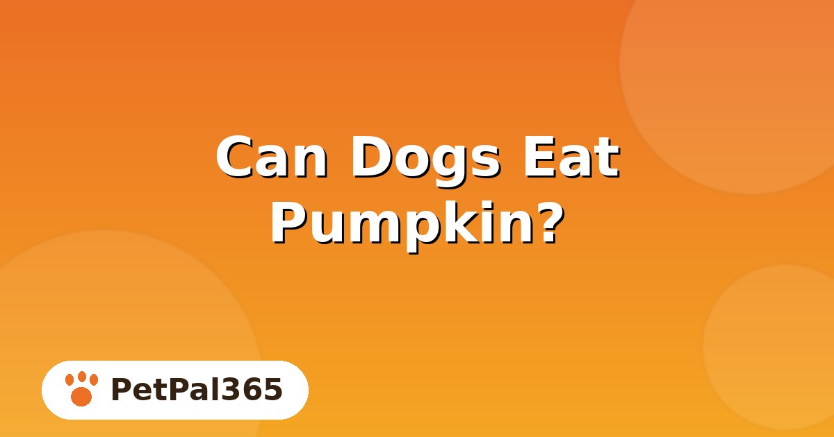 Can Dogs Eat Pumpkin? Benefits, Portions and Safe Serving Tips