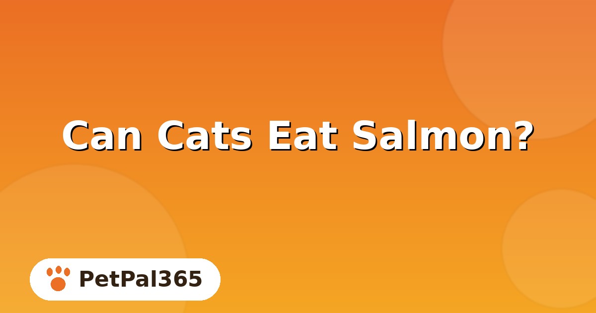 Can Cats Eat Salmon? Safe Portions, Benefits and Prep Tips