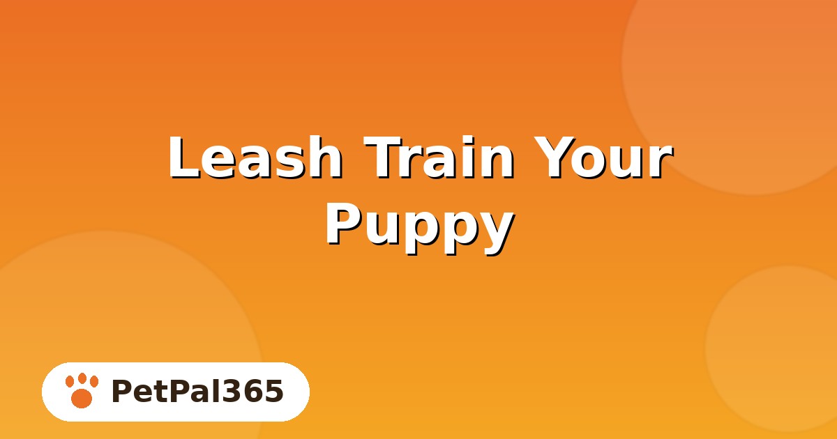 How to Leash Train a Puppy: A Step-by-Step Guide for First Walks