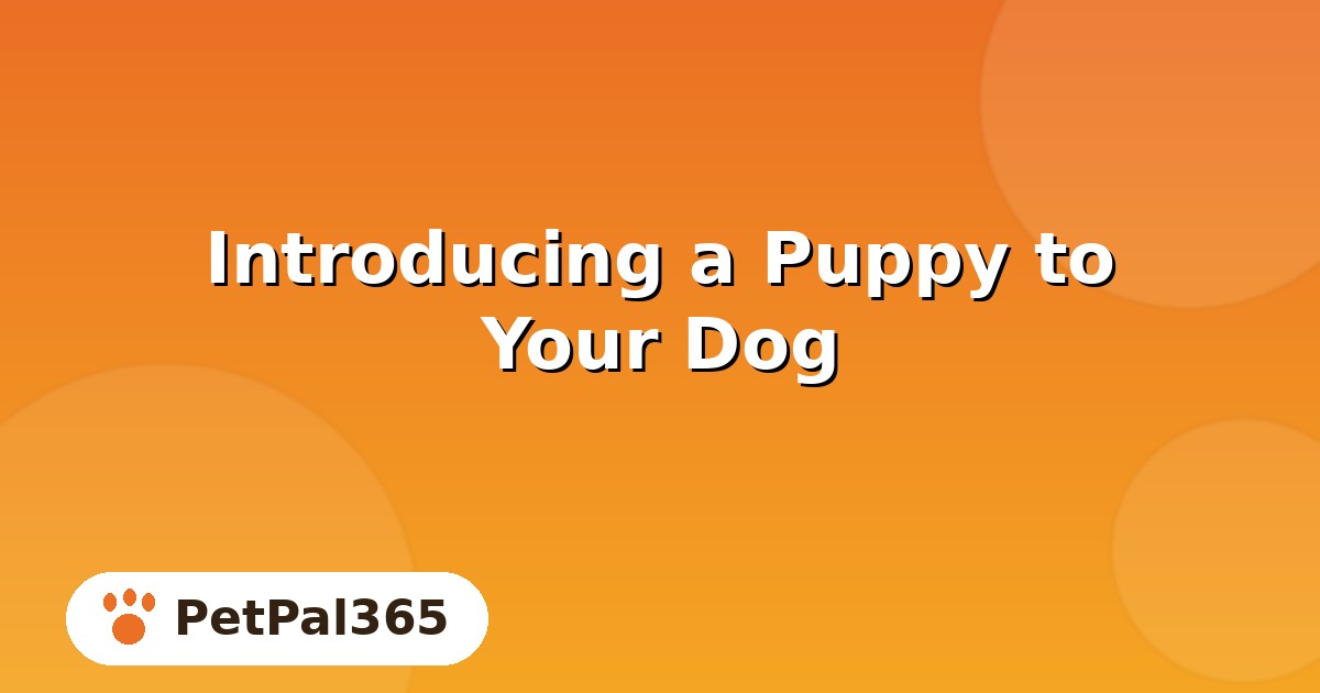 How to Introduce a Puppy to Your Dog: Timeline, Steps & Red Flags