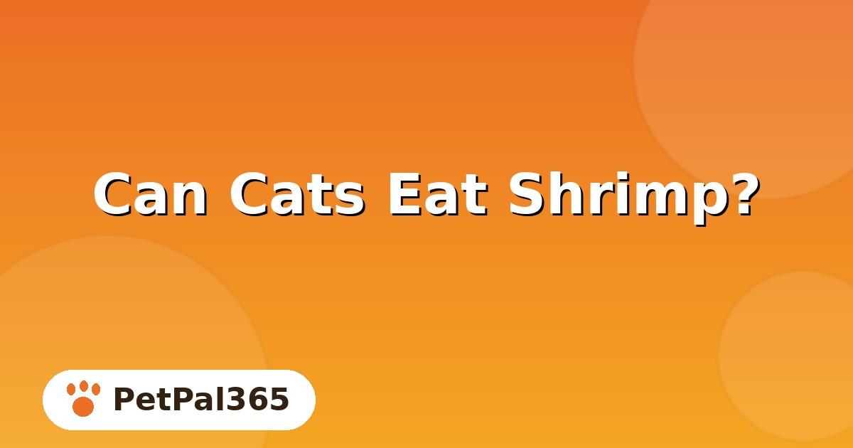 Can Cats Eat Shrimp? Safe Serving Tips, Prep and Portions