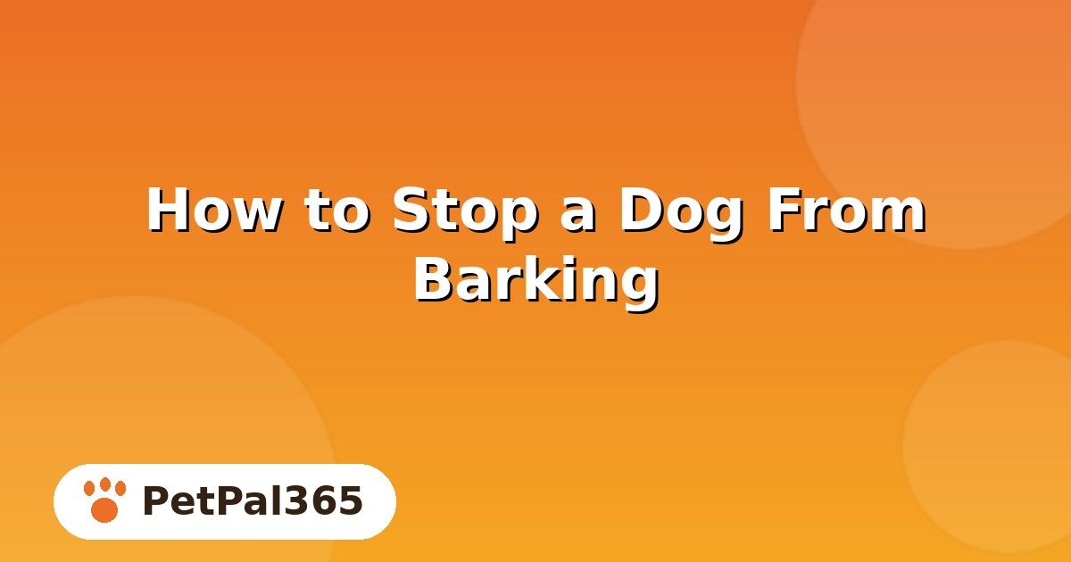 How to Stop a Dog From Barking: Training Steps That Actually Work