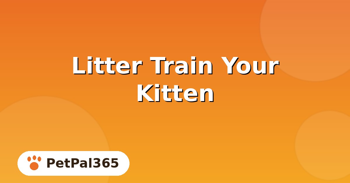 How to Litter Train a Kitten: A Step-by-Step Guide for New Cat Parents