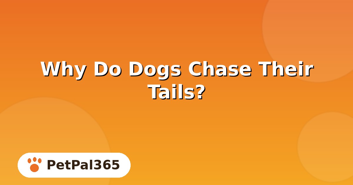 Why Do Dogs Chase Their Tails? 6 Real Reasons and When to Worry