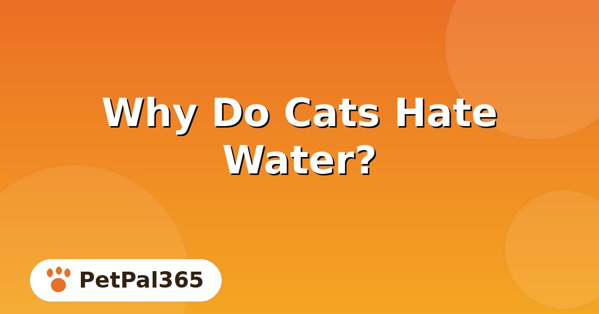 Why Do Cats Hate Water? The Real Reasons Behind the Stereotype