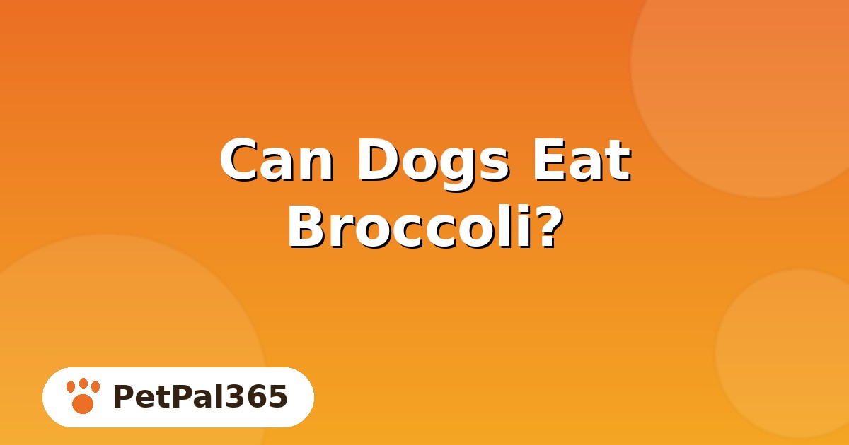 Can Dogs Eat Broccoli? Safe Portions, Benefits and Prep Tips