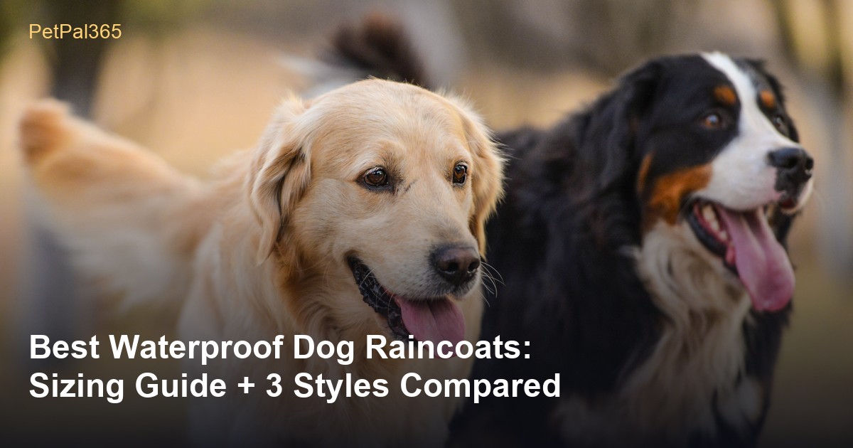 Best Waterproof Dog Raincoats: Sizing Guide + 3 Styles Compared