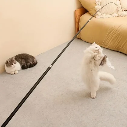 Four-Section Telescopic Cat Rod