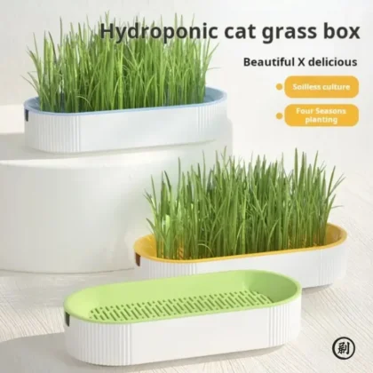 Hydroponic Cat Grass Box Cat Treats