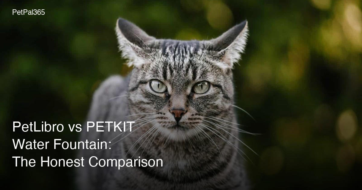 PetLibro vs PETKIT Water Fountain: The Honest Comparison
