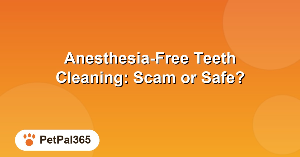 Anesthesia-Free Teeth Cleaning for Pets: Scam or Safe? What Vets Want You to Know
