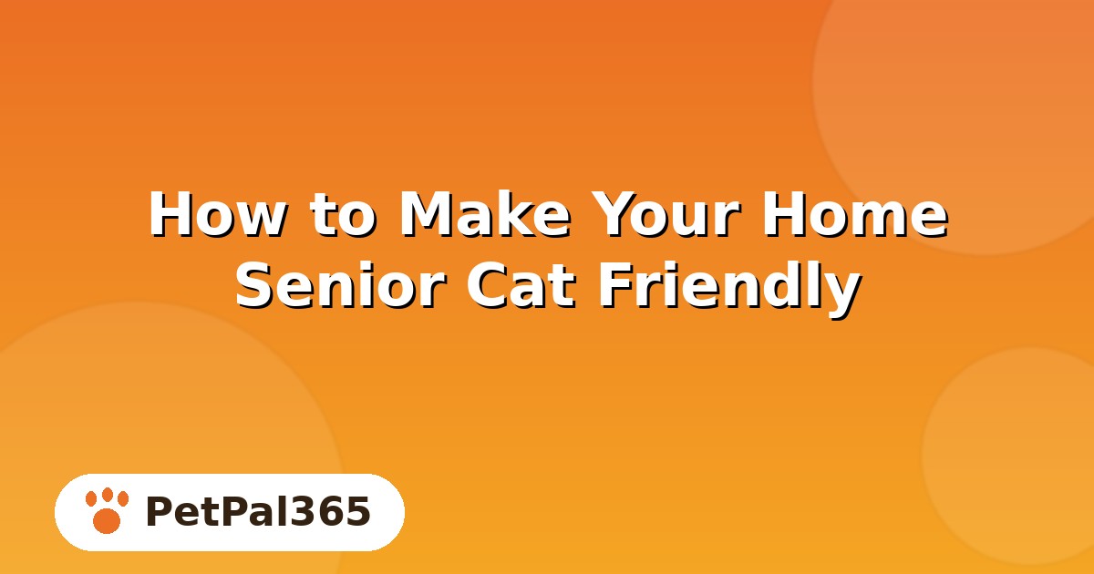 How to Make Your Home Senior Cat Friendly: 7 Changes That Add Years