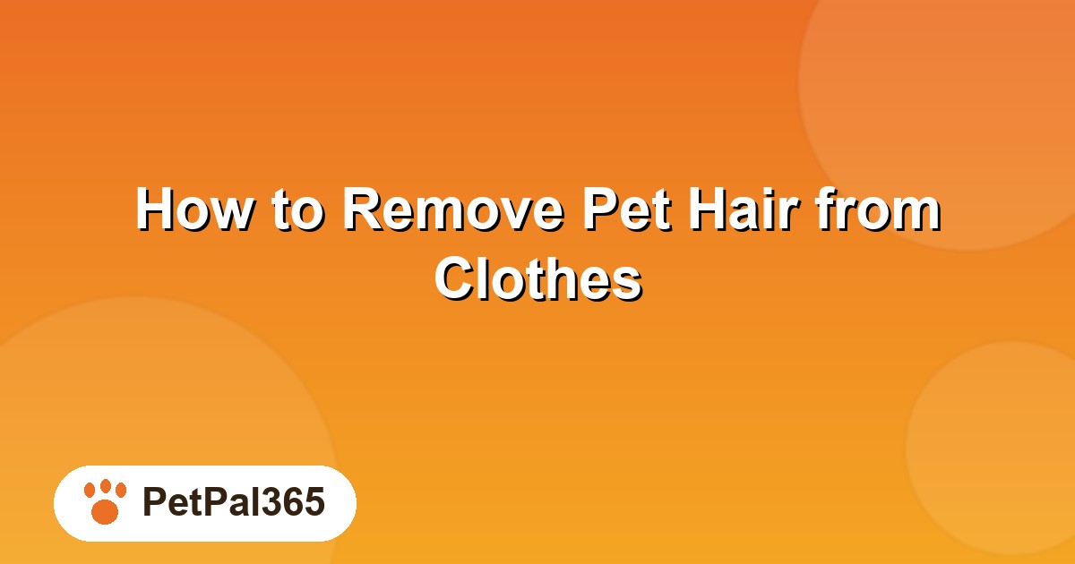 How to Remove Pet Hair from Clothes: 6 Methods Ranked by Effectiveness
